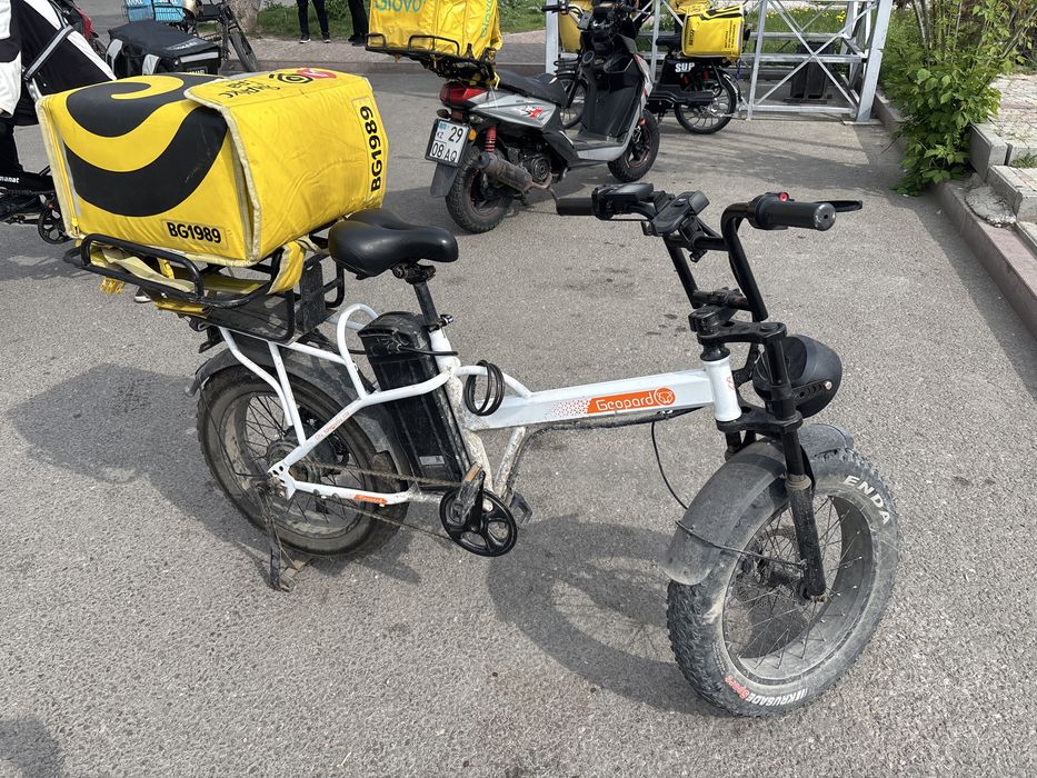 Леопард срочна сату керек