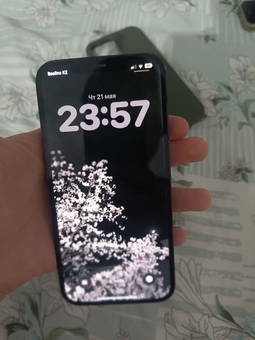 iphone 12 pro max 256gb