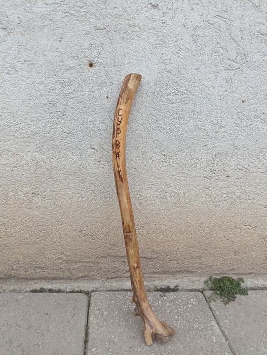 Кукерски бастуни