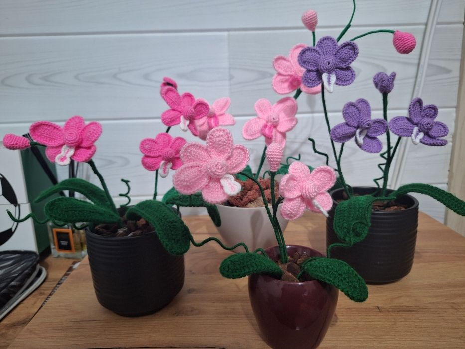 Неувяхващи орхидеи