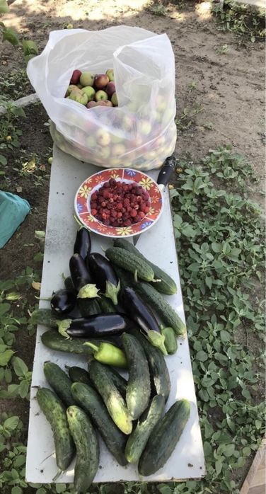 Срочно продам дачу на центральном улице