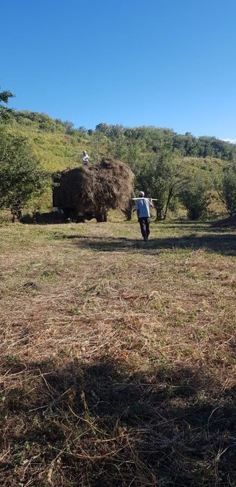 Яблочный сад, частная собственность