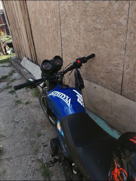 Продам Альфу гсс