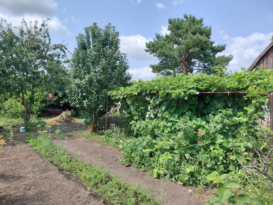 Продам дачу в" Чапаева"