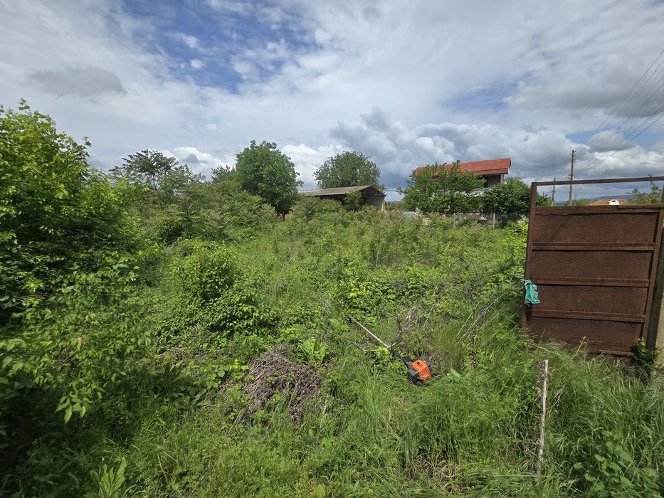 Почистване на дворове и др. услуги!!