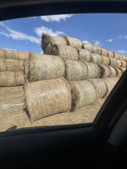 baloti lucerna 100/150/250 ron