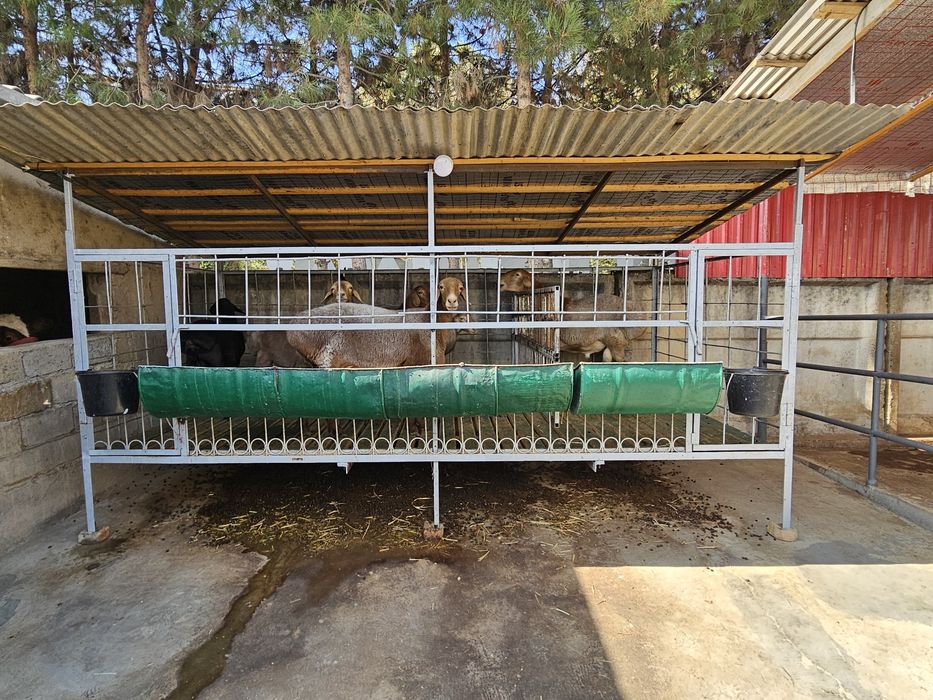 Хороший состояние