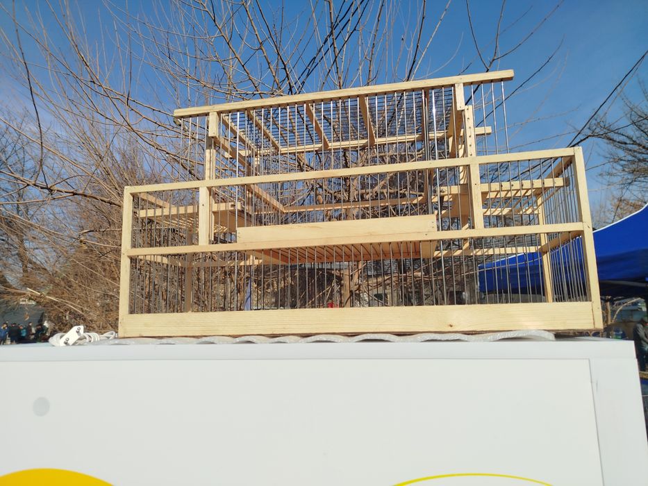 Aftamat qopqon 2tali