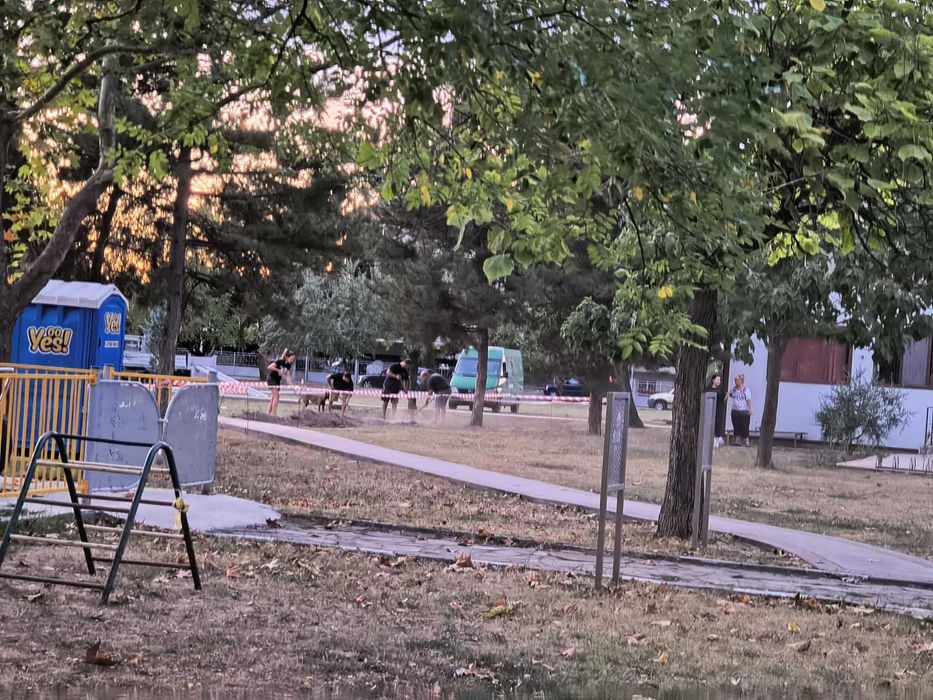 Градинарски услуги и Услуги с мини багер