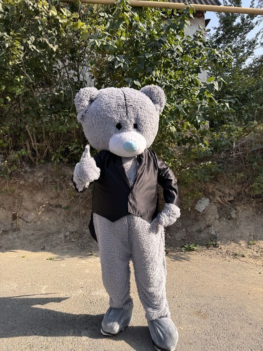 Мишка на прокат Алматы