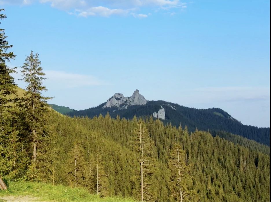 Editare foto-video la prețuri accesibile!