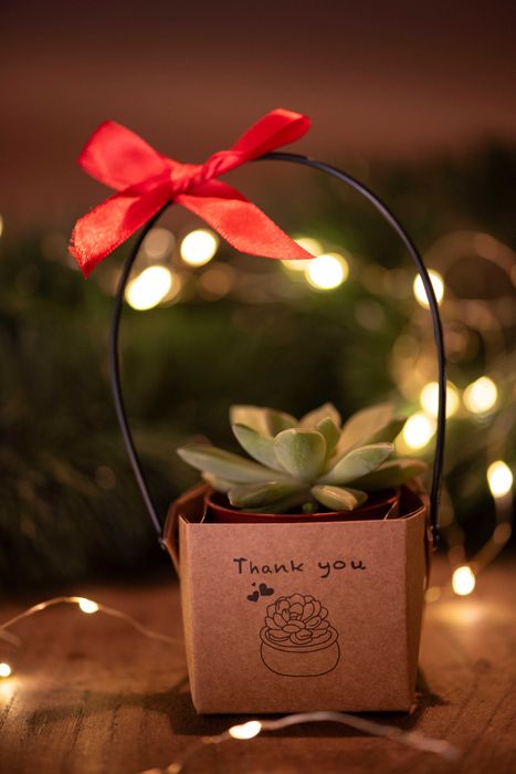 живи подаръчета за събития