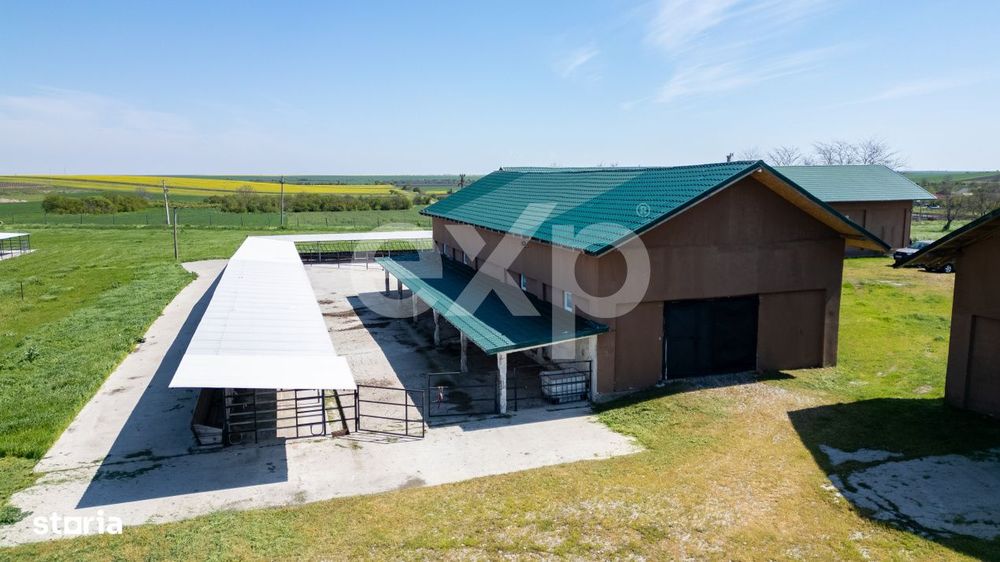 Black Angus Farm with authorized Slaughterhouse