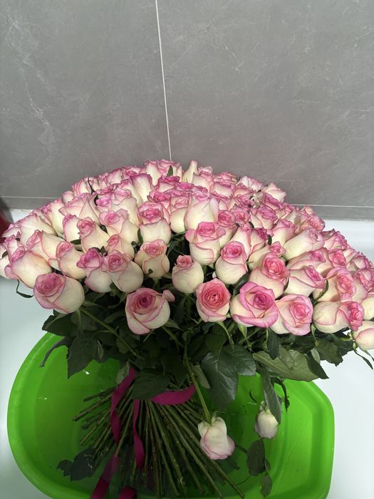 тунде келген гул