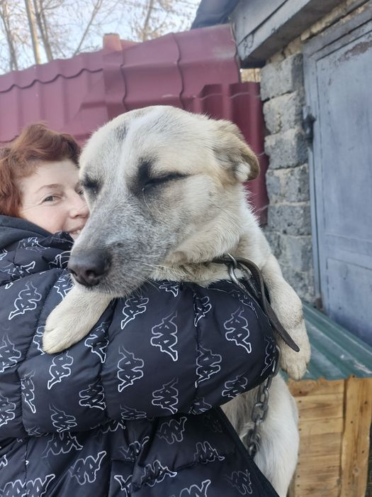 Отдам в заботливые руки