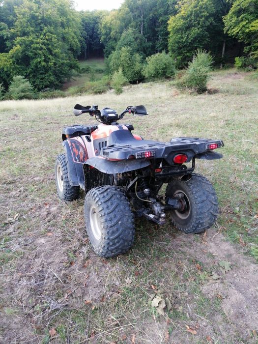 Dezmembrez linhai 300