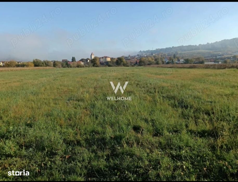 Teren intravilan de vânzare – suprafață totală 3.800 mp GUSTERIRA