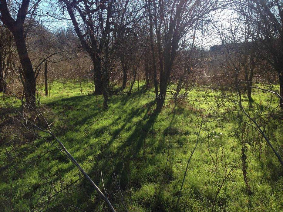 Продава се Къща в с. Росица, Област Добрич - 70 кв.м за 122 €/кв.м - Снимка #2