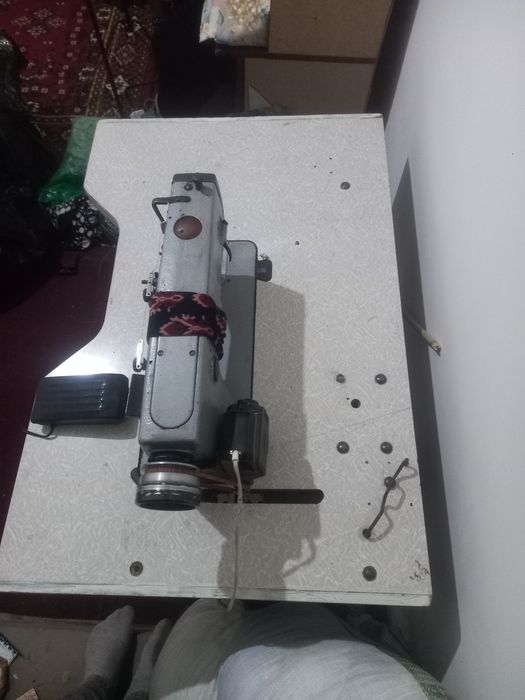 100 фойиз родной