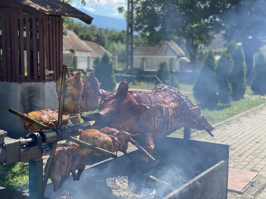 Porc, berbecut , vitel, pui facute la protap!!!