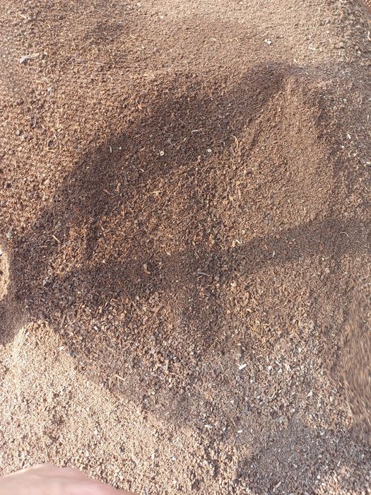 Биогомус в хорошем качестве