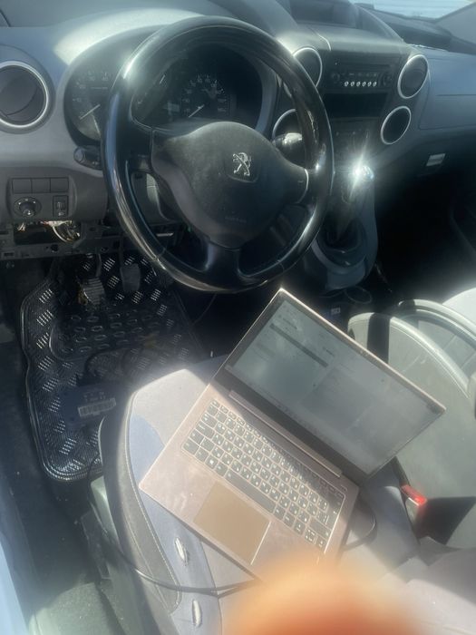 ChipTunning EGR,DPFdelete