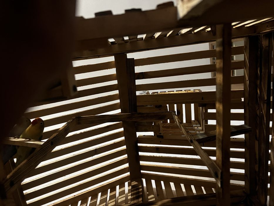 Colivi de vânzare pe orice dimensiuni