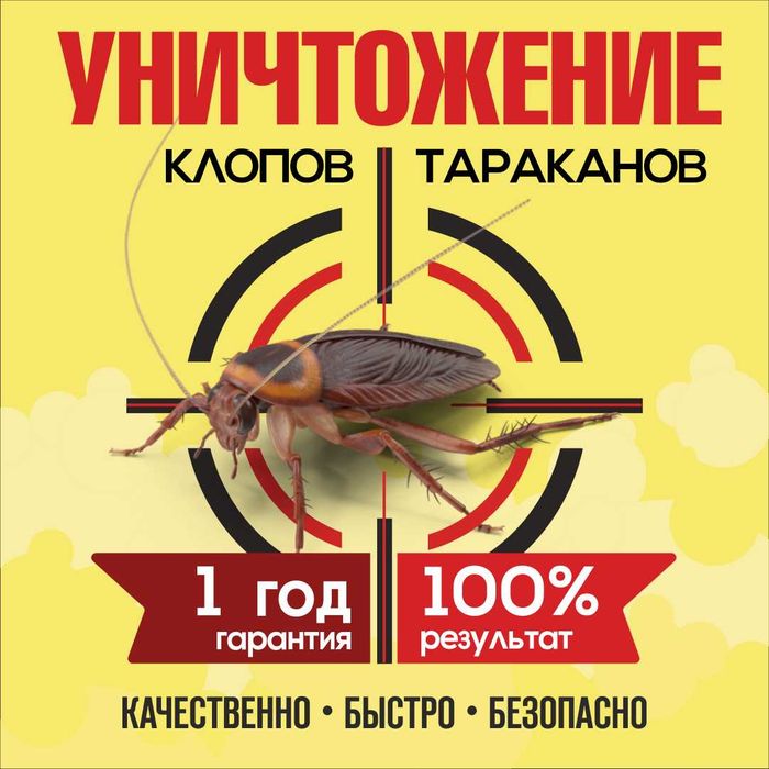 Дезинфекция Уничтожение клопов крыс тараканов комаров муравьев клещей