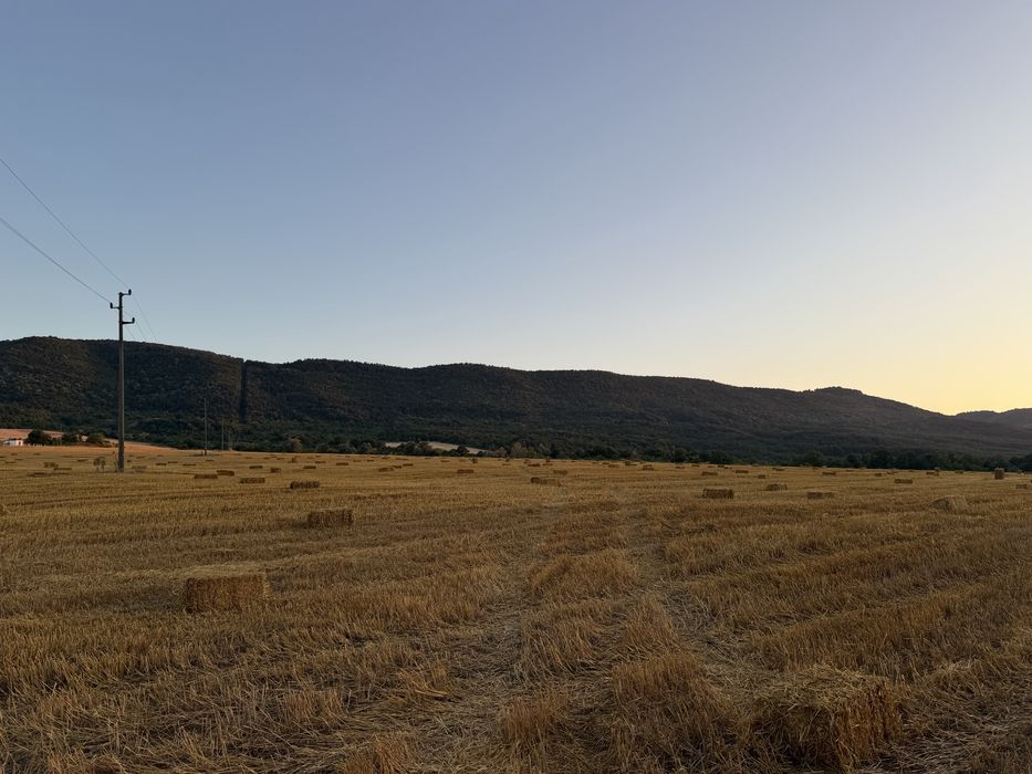 Продавама бали ливадно сено и овесена слама