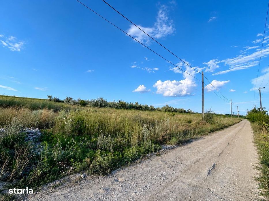 Teren pentru Hală 1000 mp zona Metro lângă Zeelandia, Aproape E85