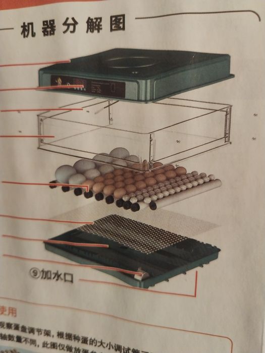 Инкубатор для яйц