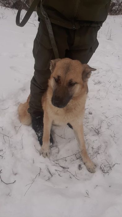 кОмпаНьеНы, сТорожа,ОхраНиики