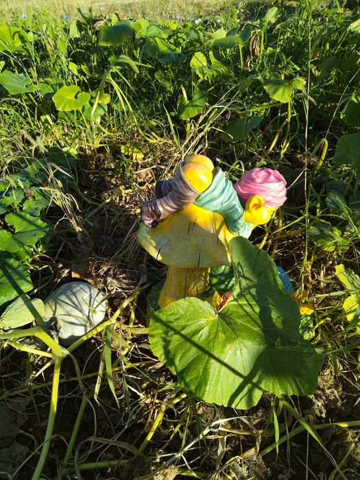 Градински фигури