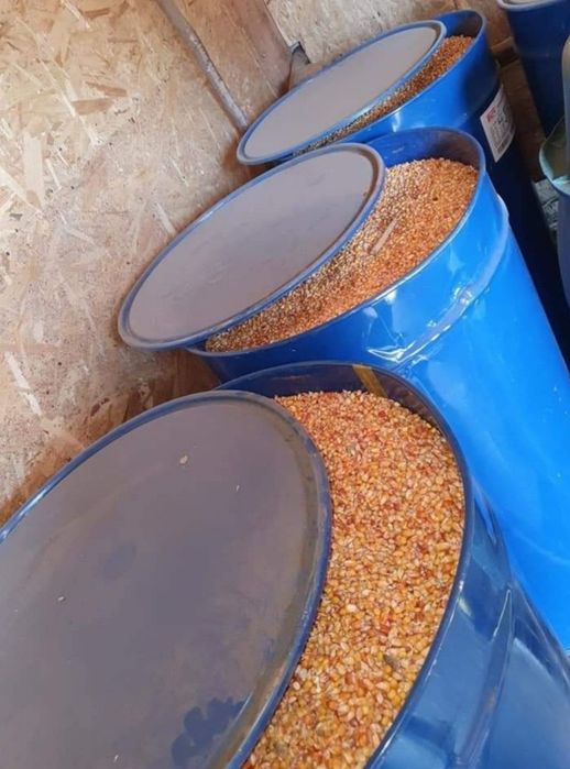 Butoaie metalice din tablă, capacitate 220L, cu capac mare