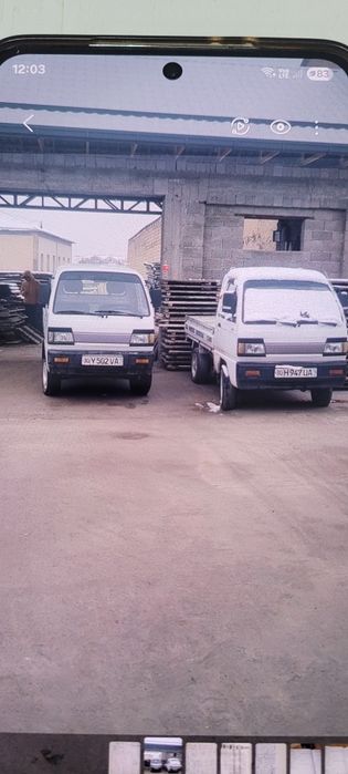 Лобо арзон нархда