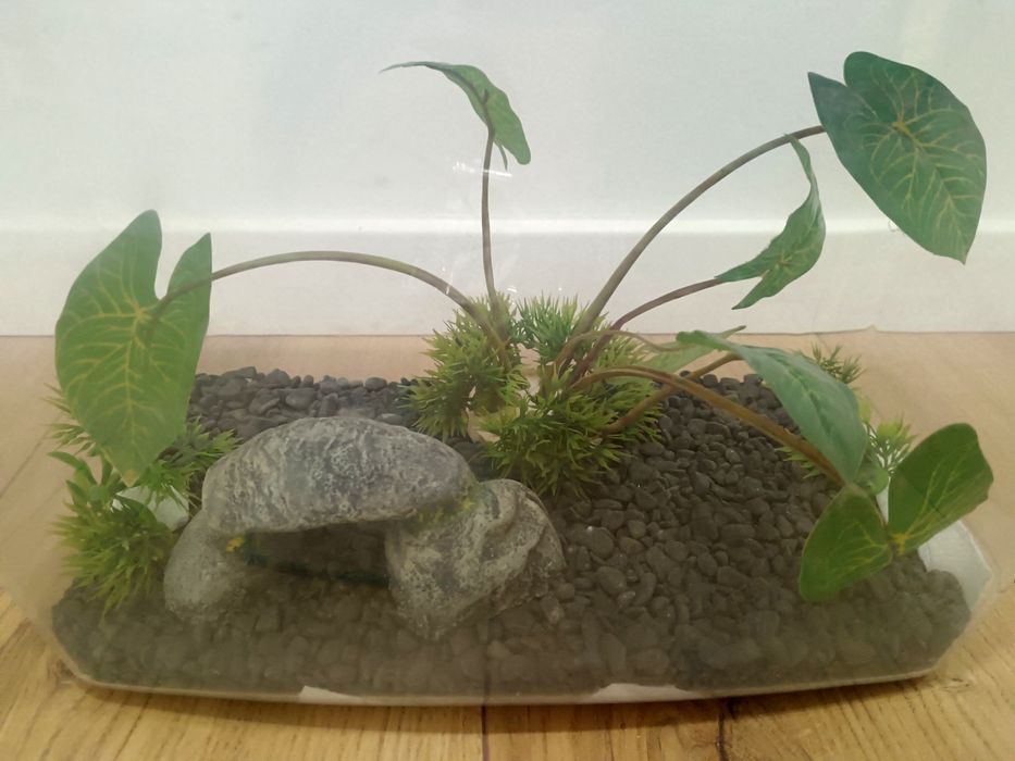 Acvariu cu accesorii incluse-capacitate 6L