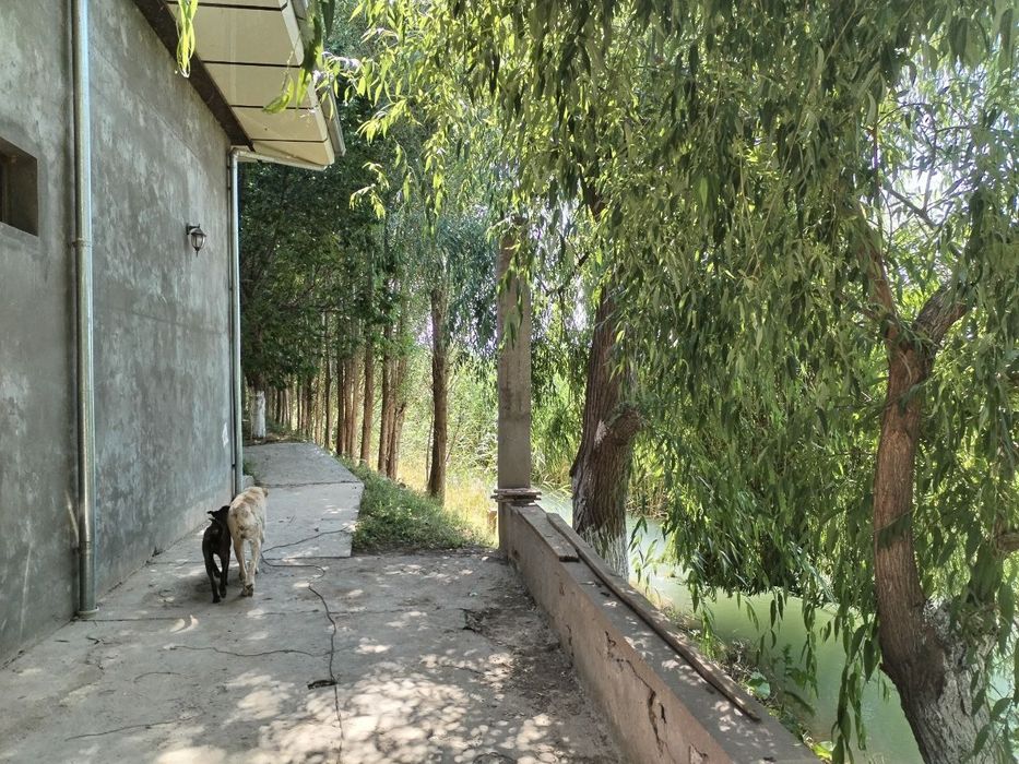 Продается земельный участок с жилым домом в городе Чирчик