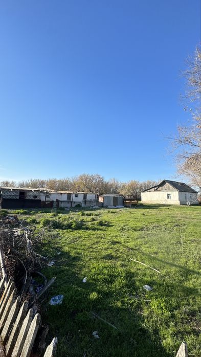 Продам дом для скота