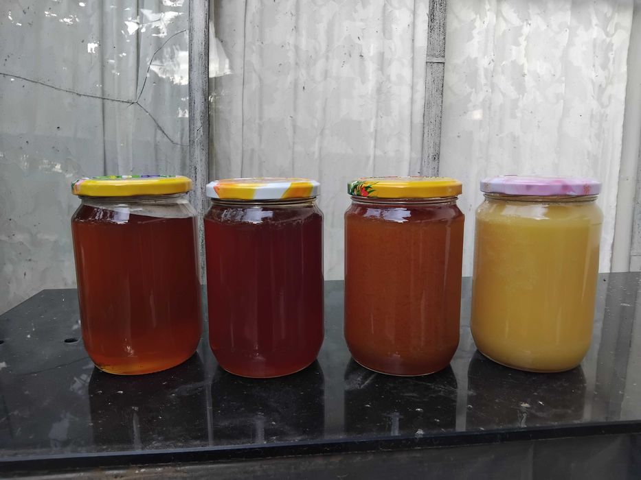 Пчелен Мед от Планински Регион