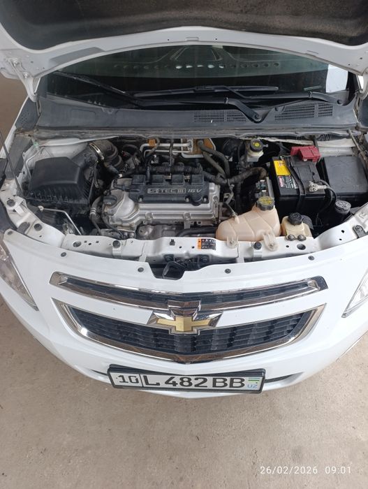 Кобиль 2019 тозза