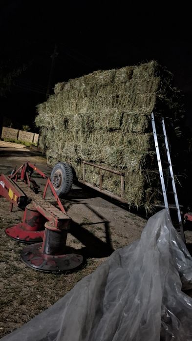 Vand baloți  de fan cu lucernă