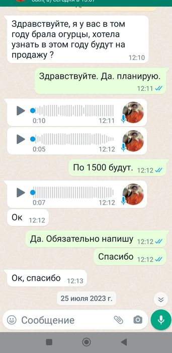 Соленые огурцы. Лучшие