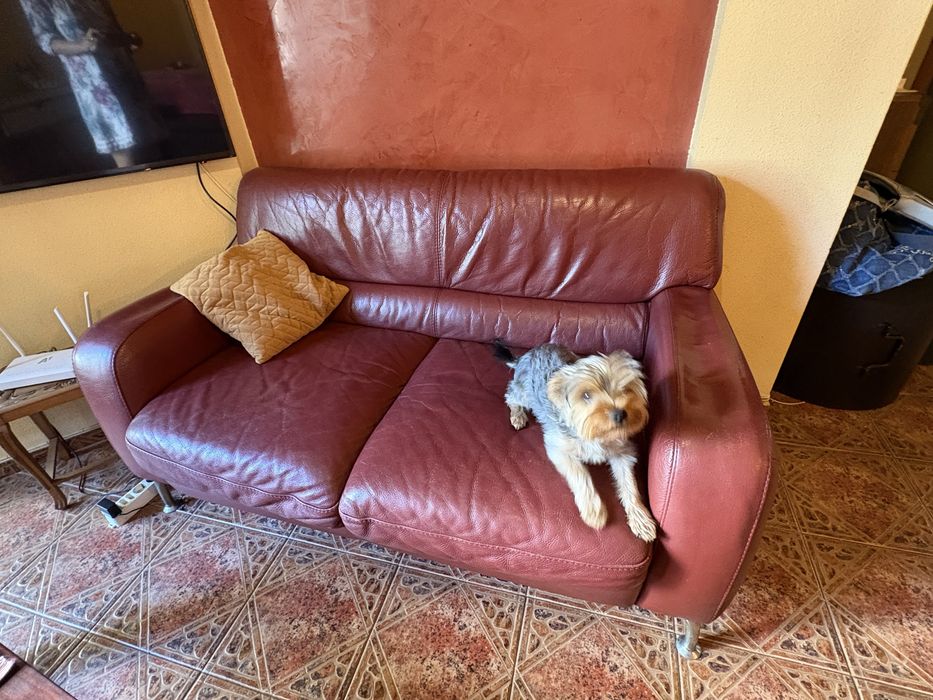 Два дивана от естествена кожа-телешки бокс