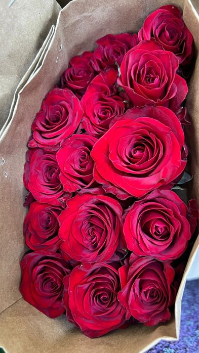 Пионы по оптовой цене