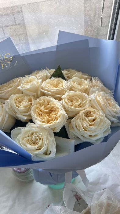 Продам цветы свежие