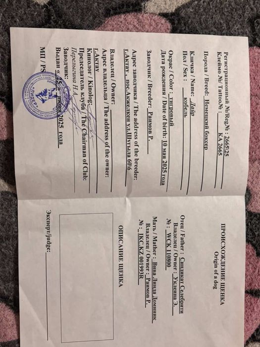 СРОЧНО в добрые руки