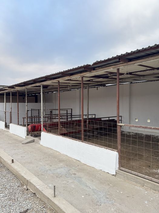 Қора сатылады жағдае жасалған