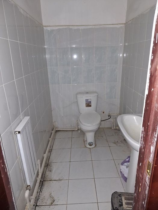 3 honalik katij ijaraga beriladi