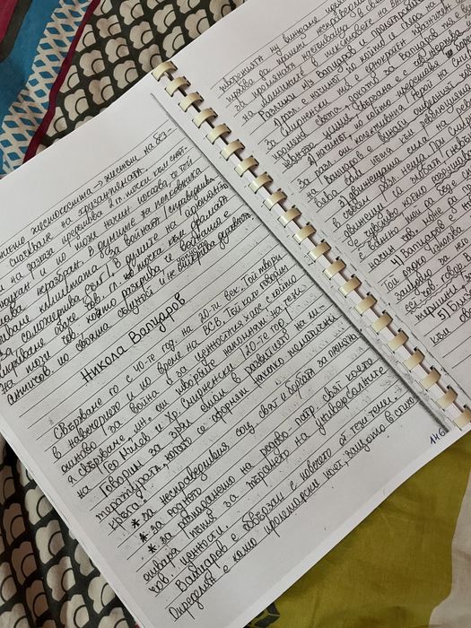 Помагала за матурата по Български език и Литература