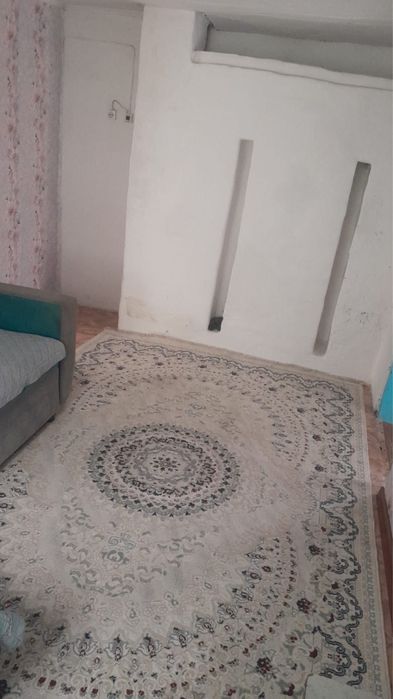 Дом зимнего варианта( Родничок)